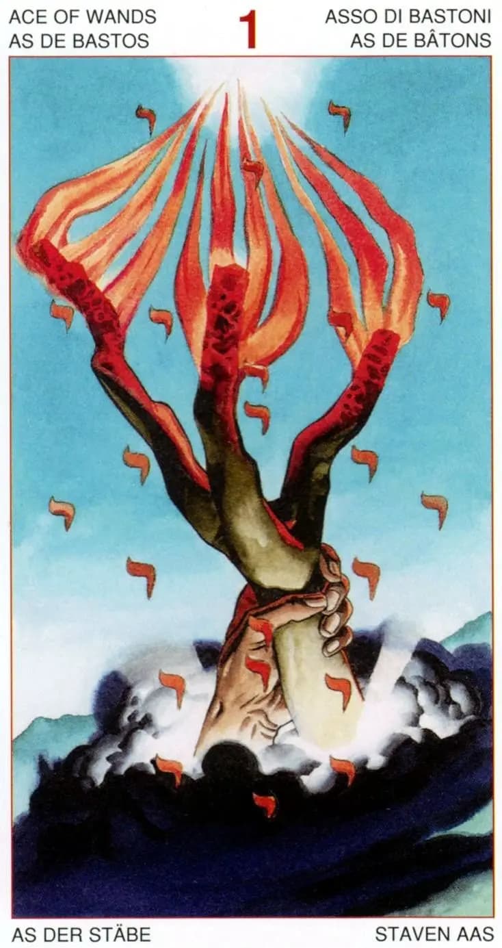 权杖王牌 塔罗牌图像