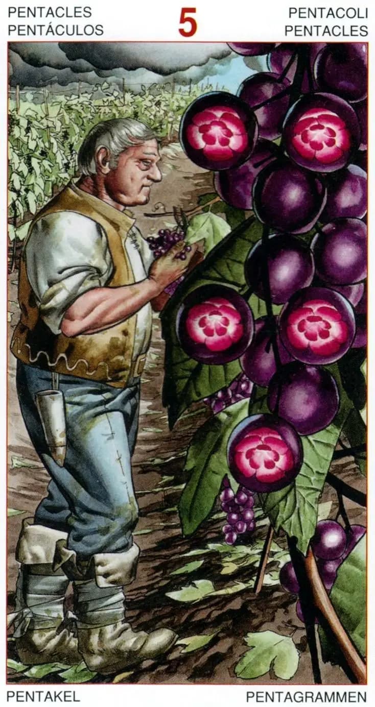 金币五 塔罗牌图像