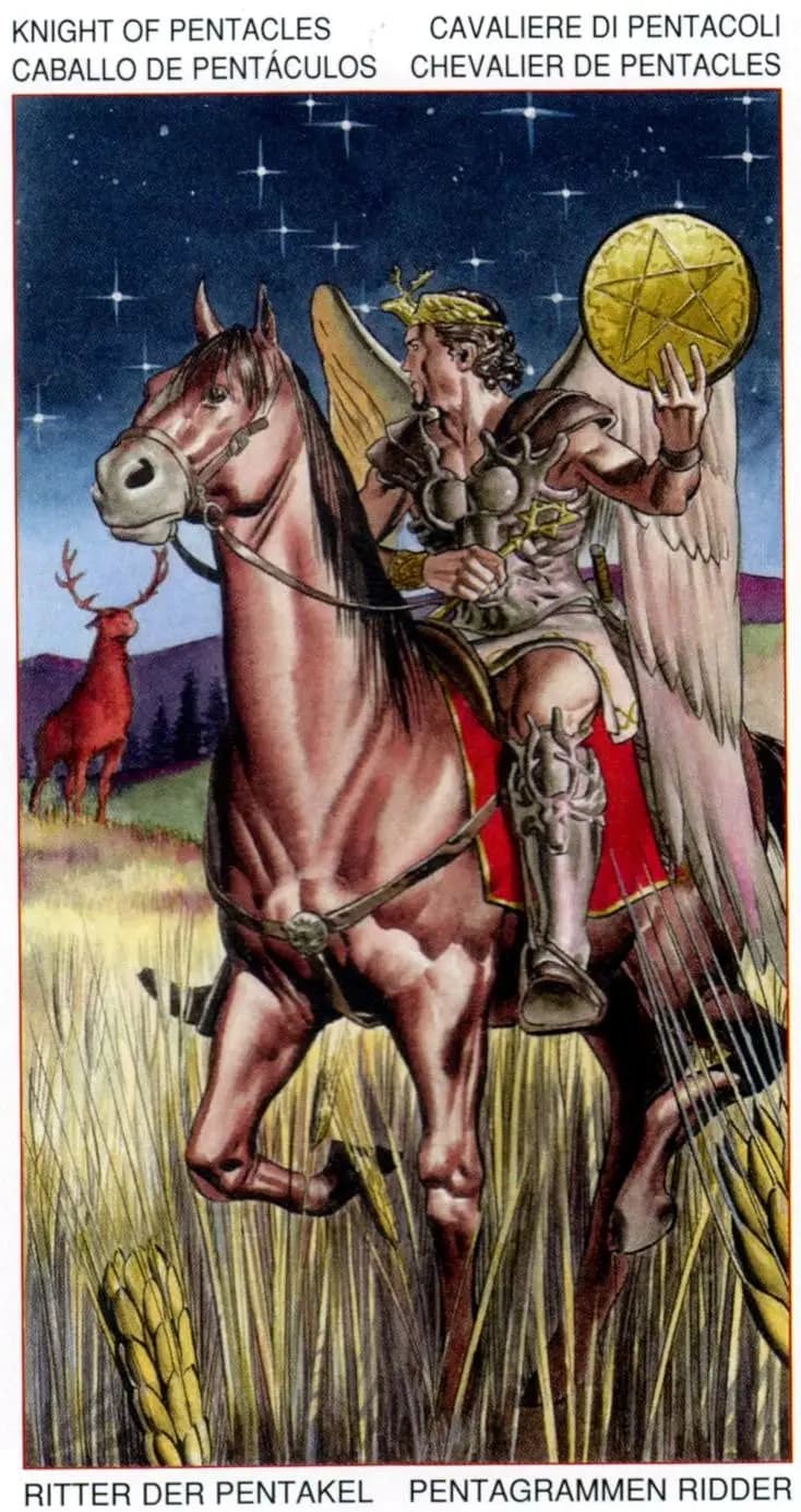 金币骑士 塔罗牌图像