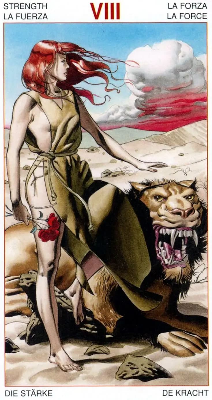力量 塔罗卡牌