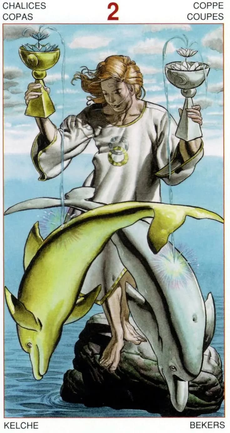 圣杯二 塔罗卡牌